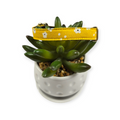 Yellow Daisies Kitty Collar (X-Small)