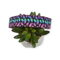 Halloween Rainbow Ghosts Dog Collar (Large)