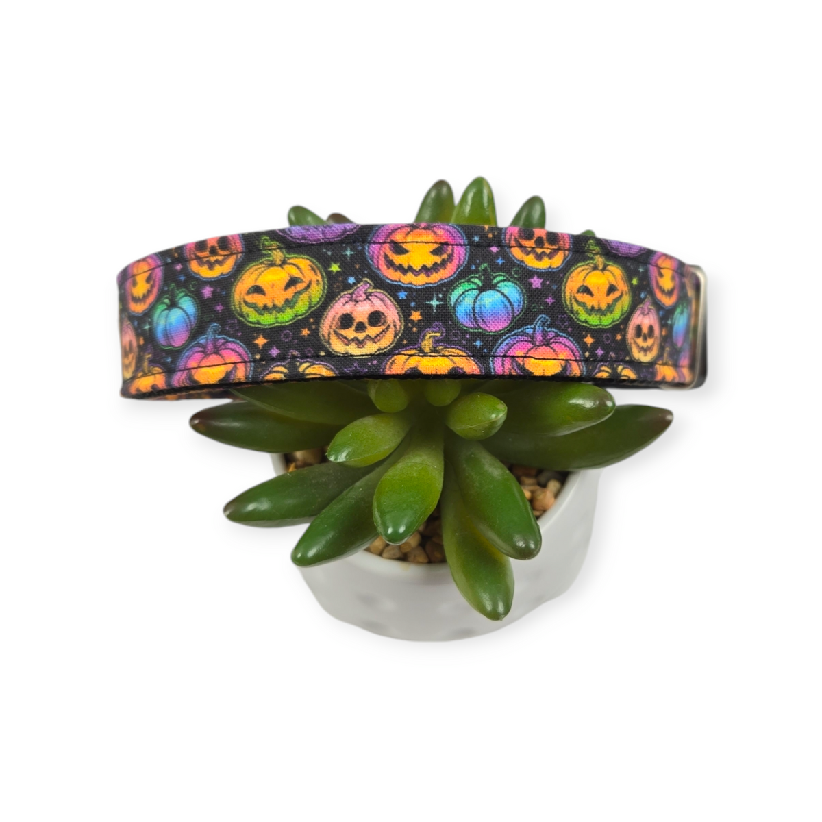 Neon Pumpkins Dog Collar (Large)