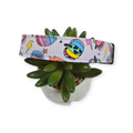 LF Rainbow Pumpkins Dog Collar (Large)