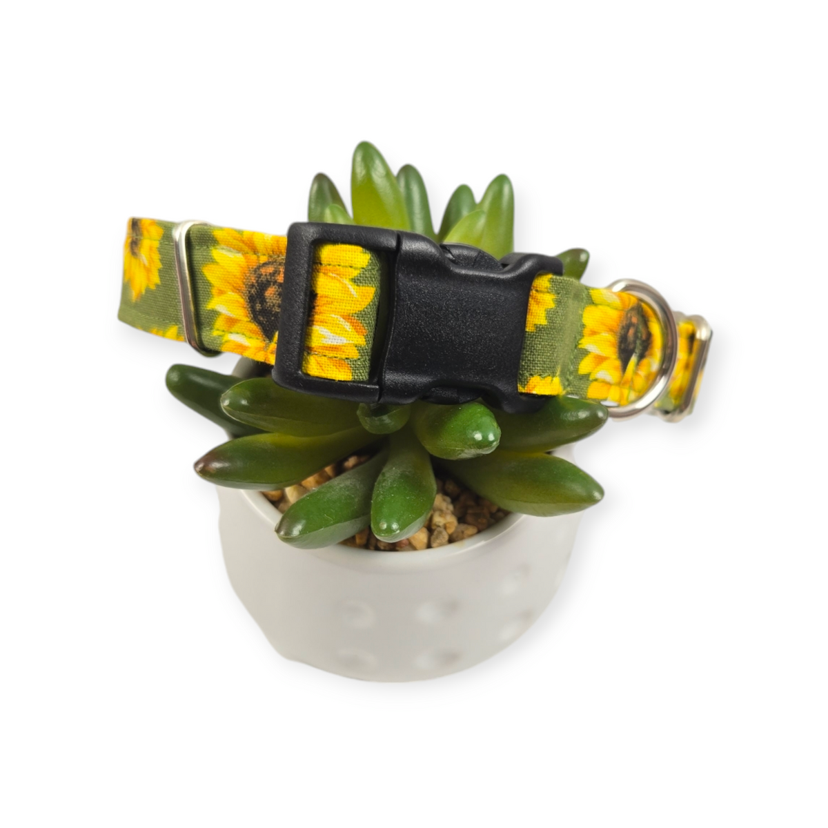 Sunflowers on Olive Dog Collar (Medium)