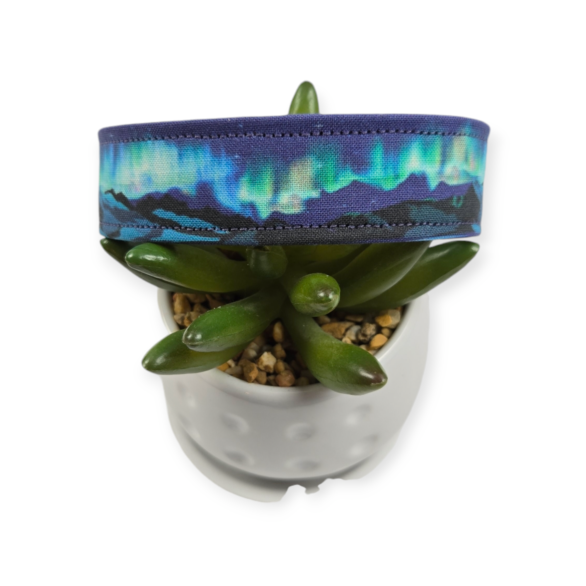 Mountains and Northern Lights Dog Collar (Large)