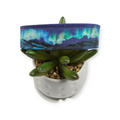 Mountains and Northern Lights Dog Collar (Medium, 1" wide)