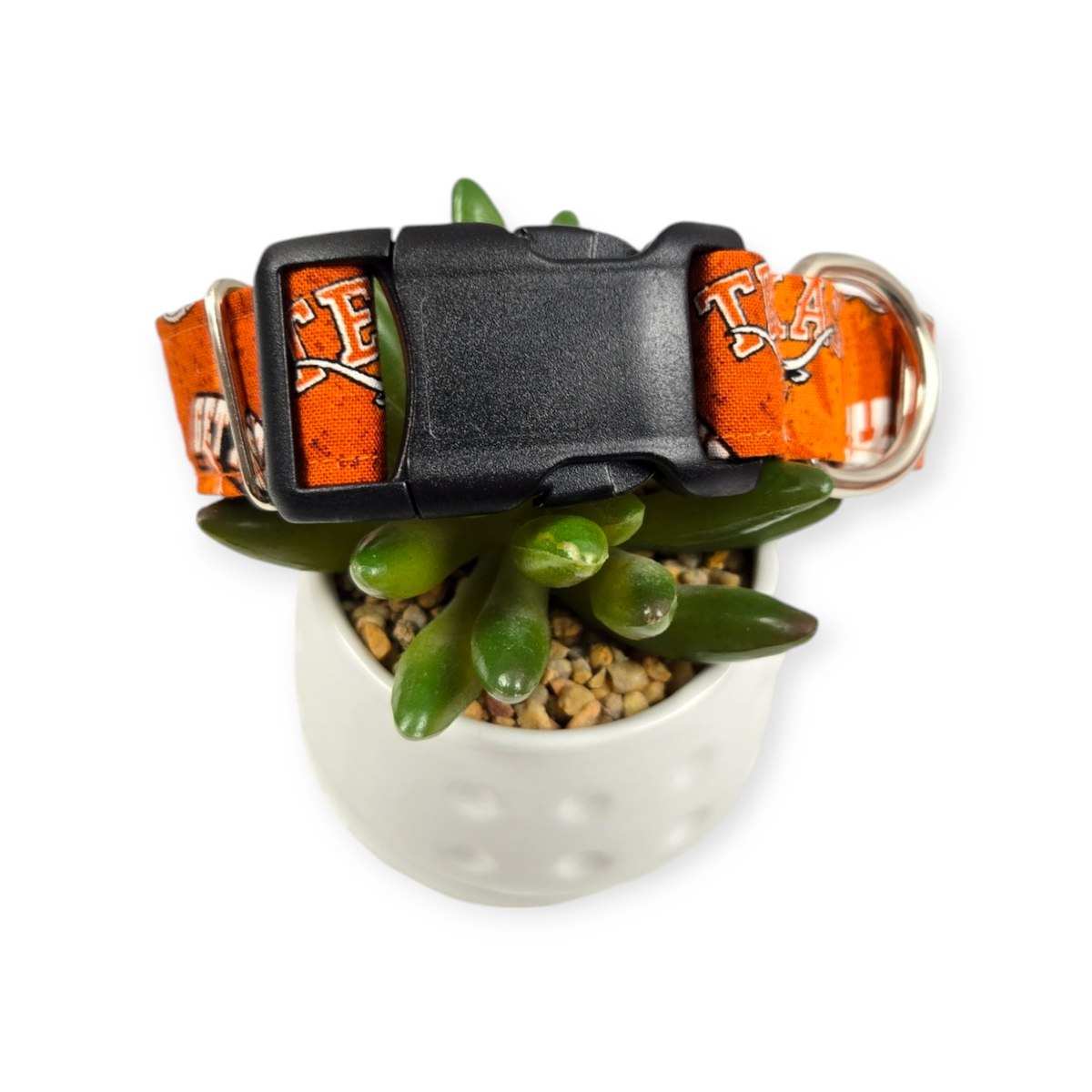 Longhorns Dog Collar (Medium, 1" wide)