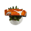 Longhorns Dog Collar (Large)