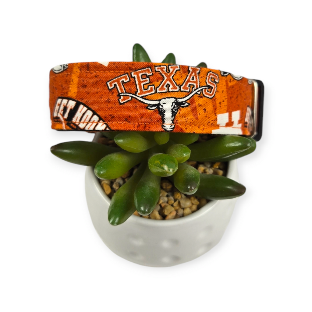 Longhorns Dog Collar (Medium, 1" wide)