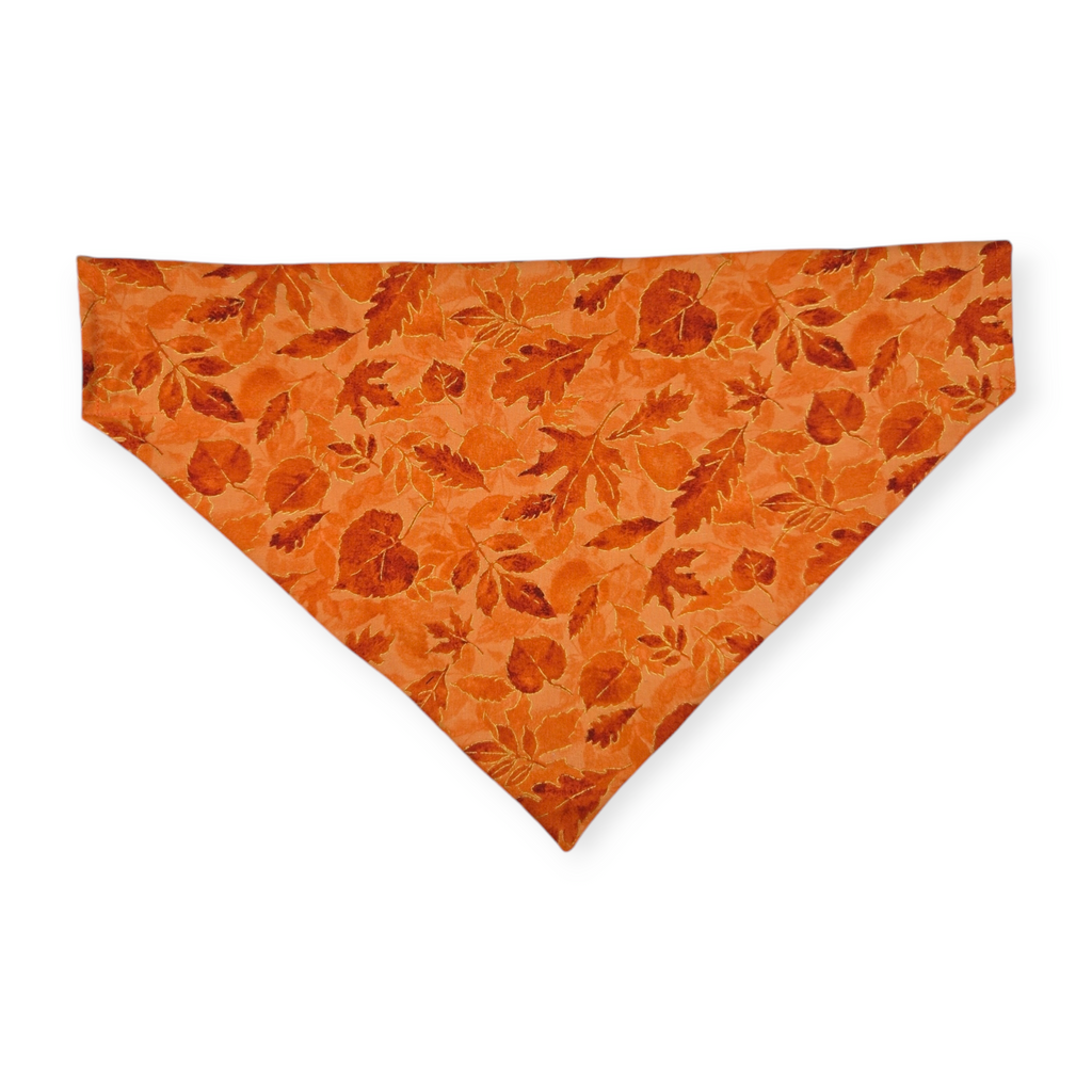 Daisy Pumpkins/ Orange Leaves Reversible Slide-on Bandana (X-Large)