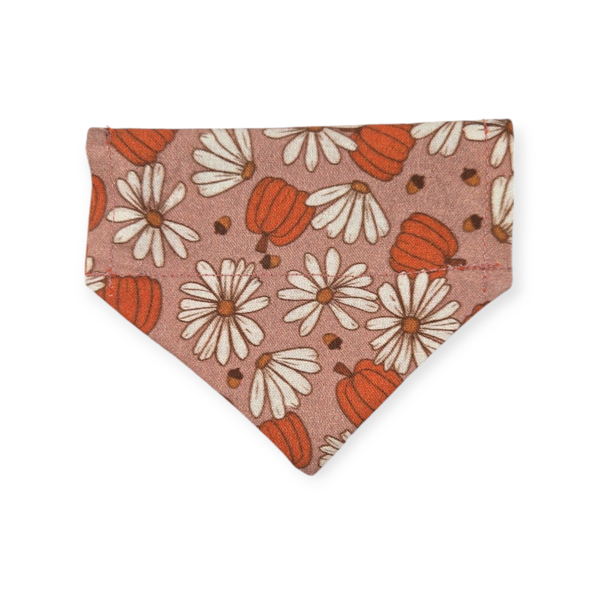 Daisy Pumpkins/ Orange Leaves Reversible Slide-on Bandana (XX-Small)