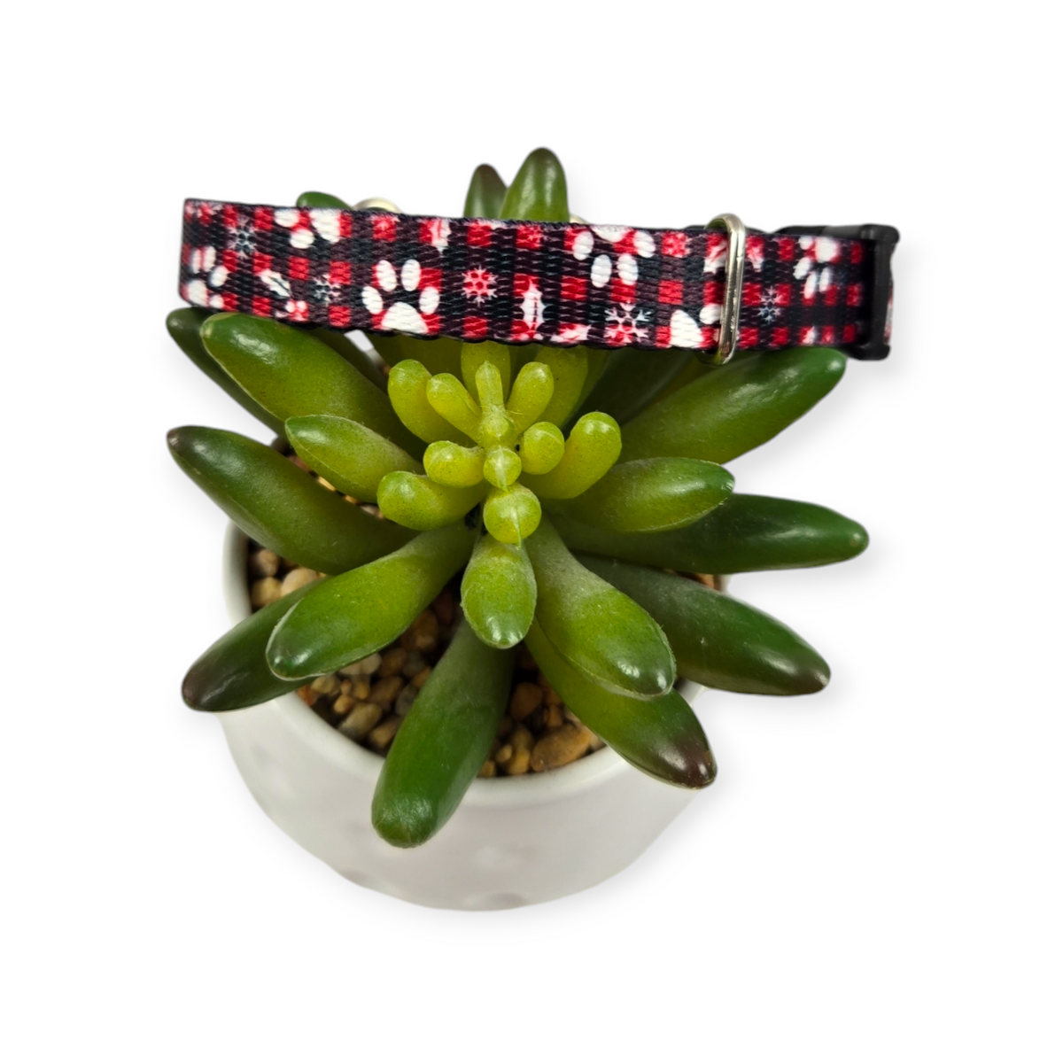 Christmas Plaid Dog Collar (X-Small)