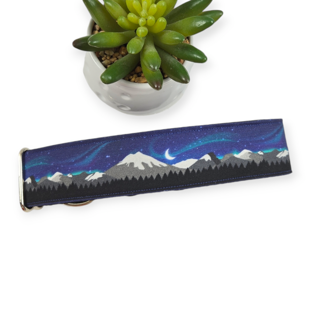 Aurora Borealis Dog Collar (Large, 1.5" wide)