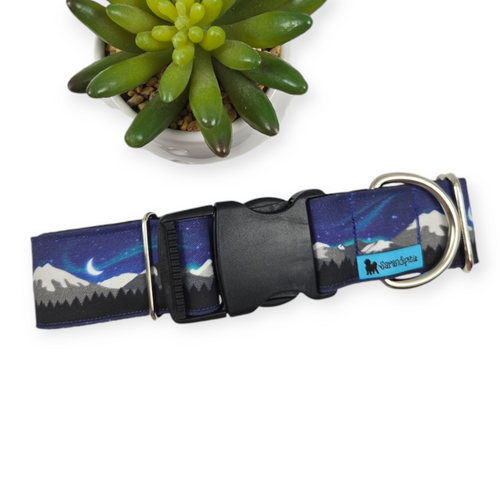 Aurora Borealis Dog Collar (Large, 1.5" wide)