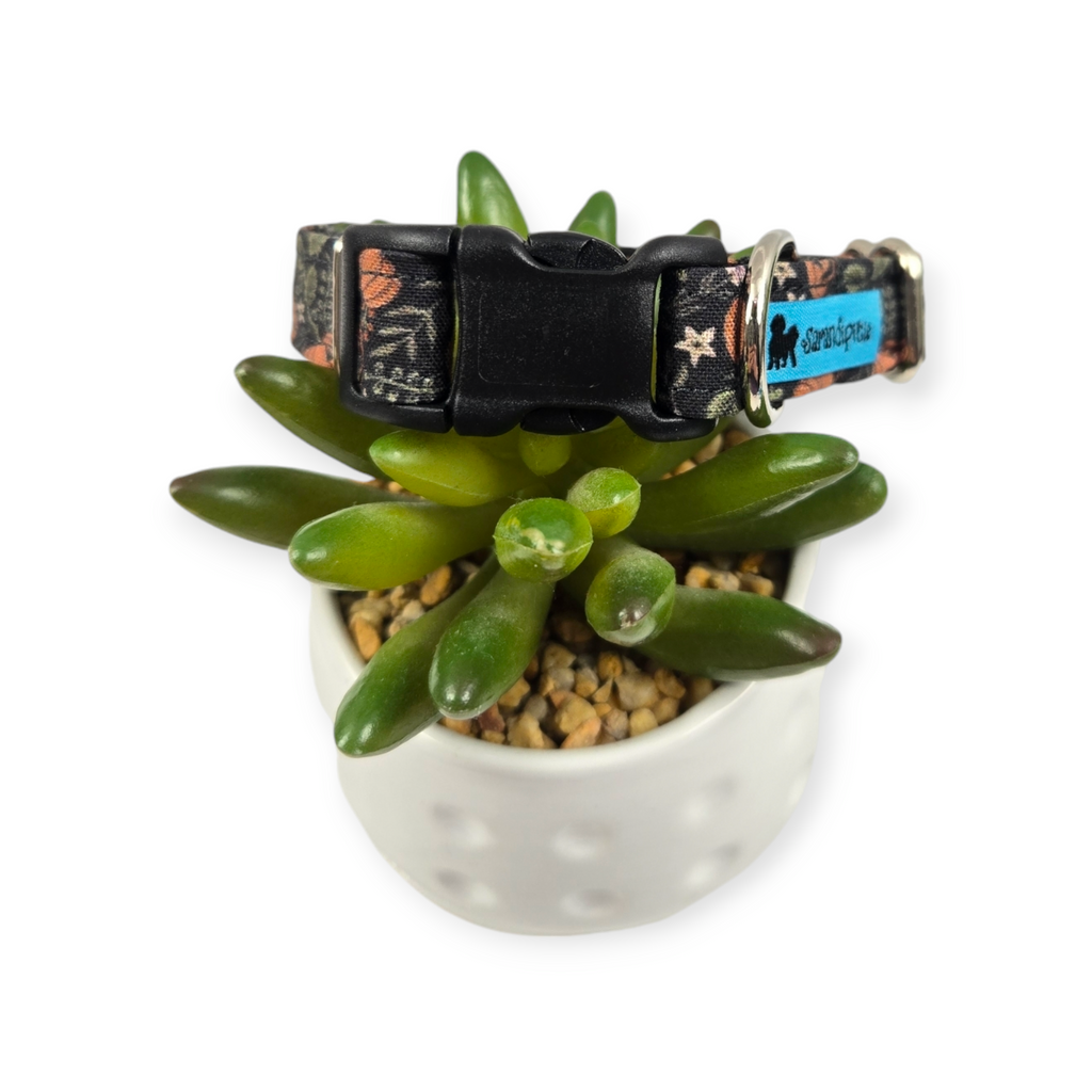 Halloween Pumpkin Vines Dog collar (Small)