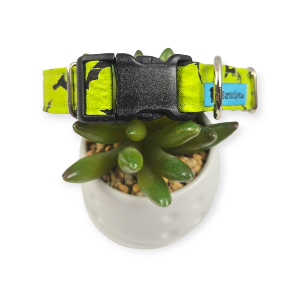 It's Freaking BATS! Dog Collar (Medium)