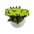 It's Freaking BATS! Dog Collar (Large)