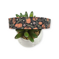 Halloween Pumpkin Vines Dog Collar (Large)