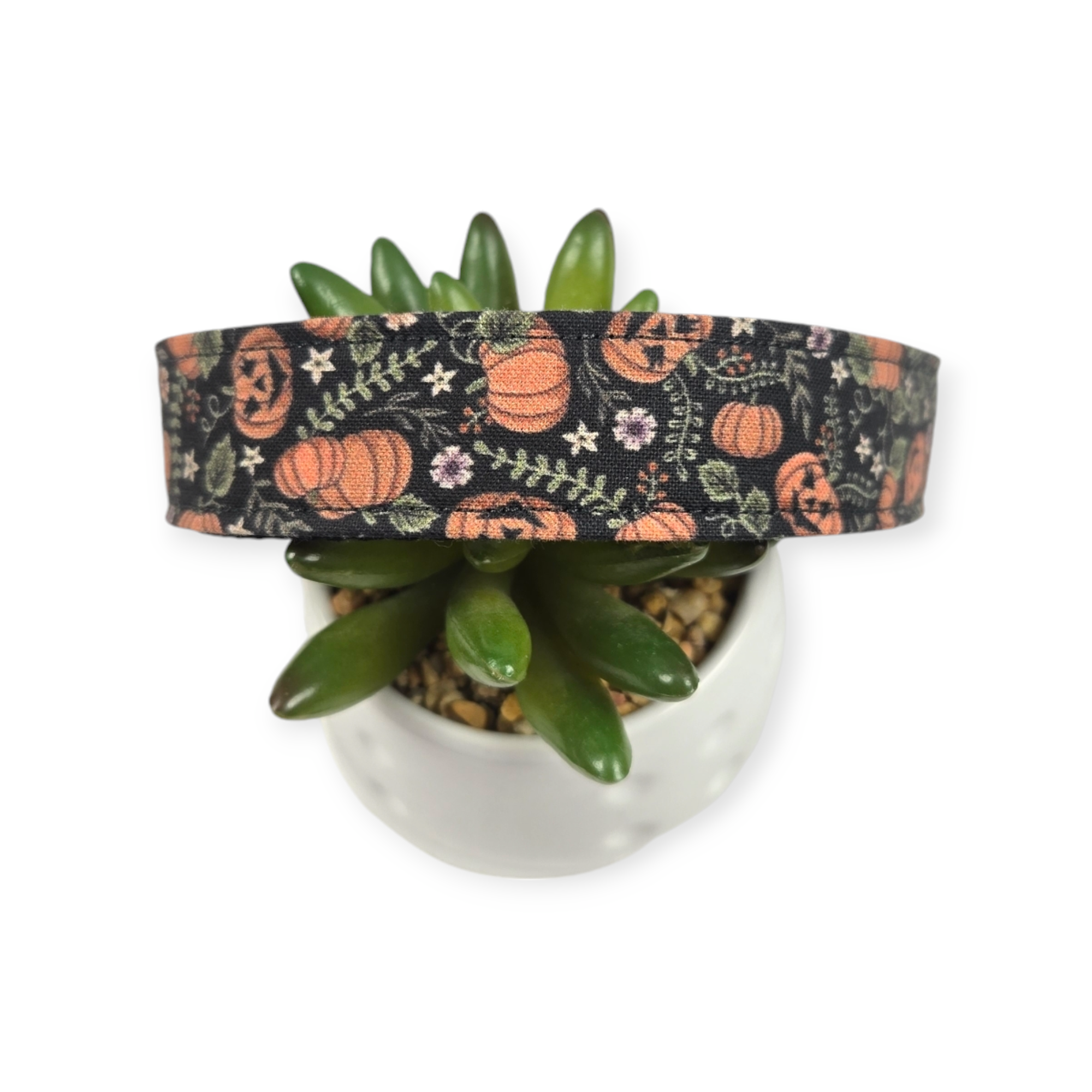 Halloween Pumpkin Vines Dog Collar (Large)