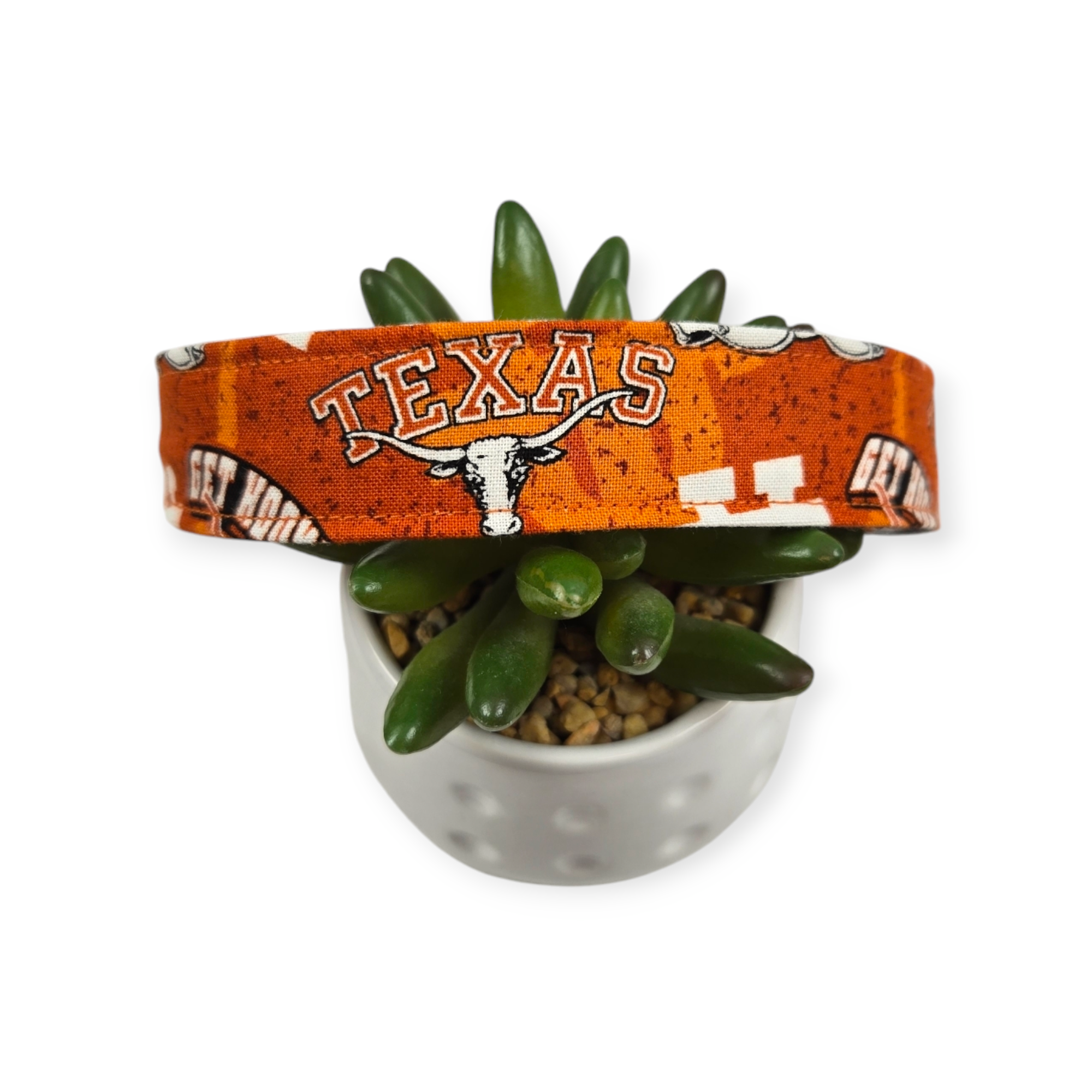UT Longhorns Dog Collar (Large)