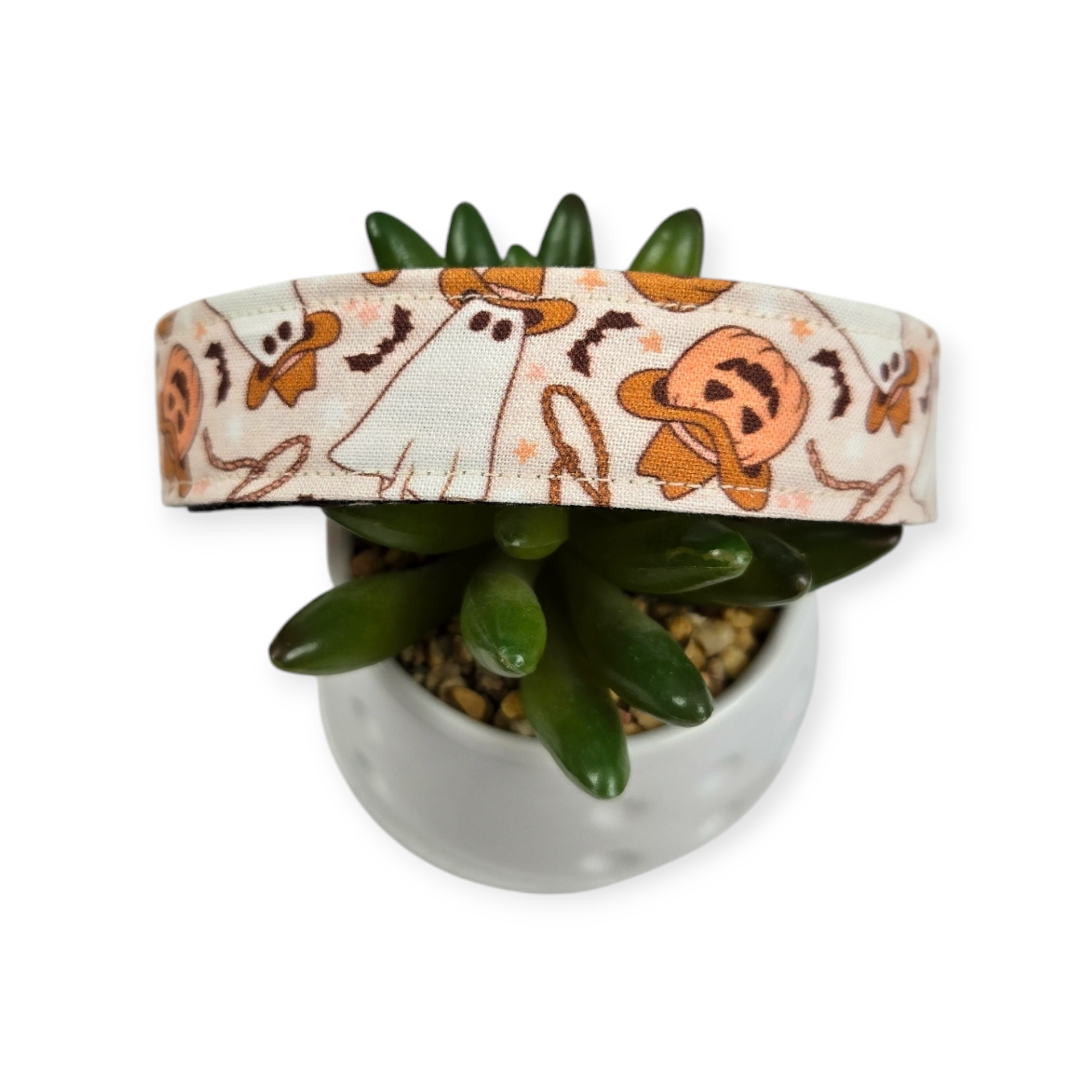 Cowboy Halloween Dog Collar (Large)