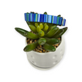 Blue Serape Kitty Collar (XX-Small)
