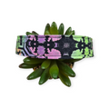Gradient Auras Dog Collar (Large)