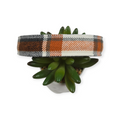 UT Plaid Dog Collar (Large)