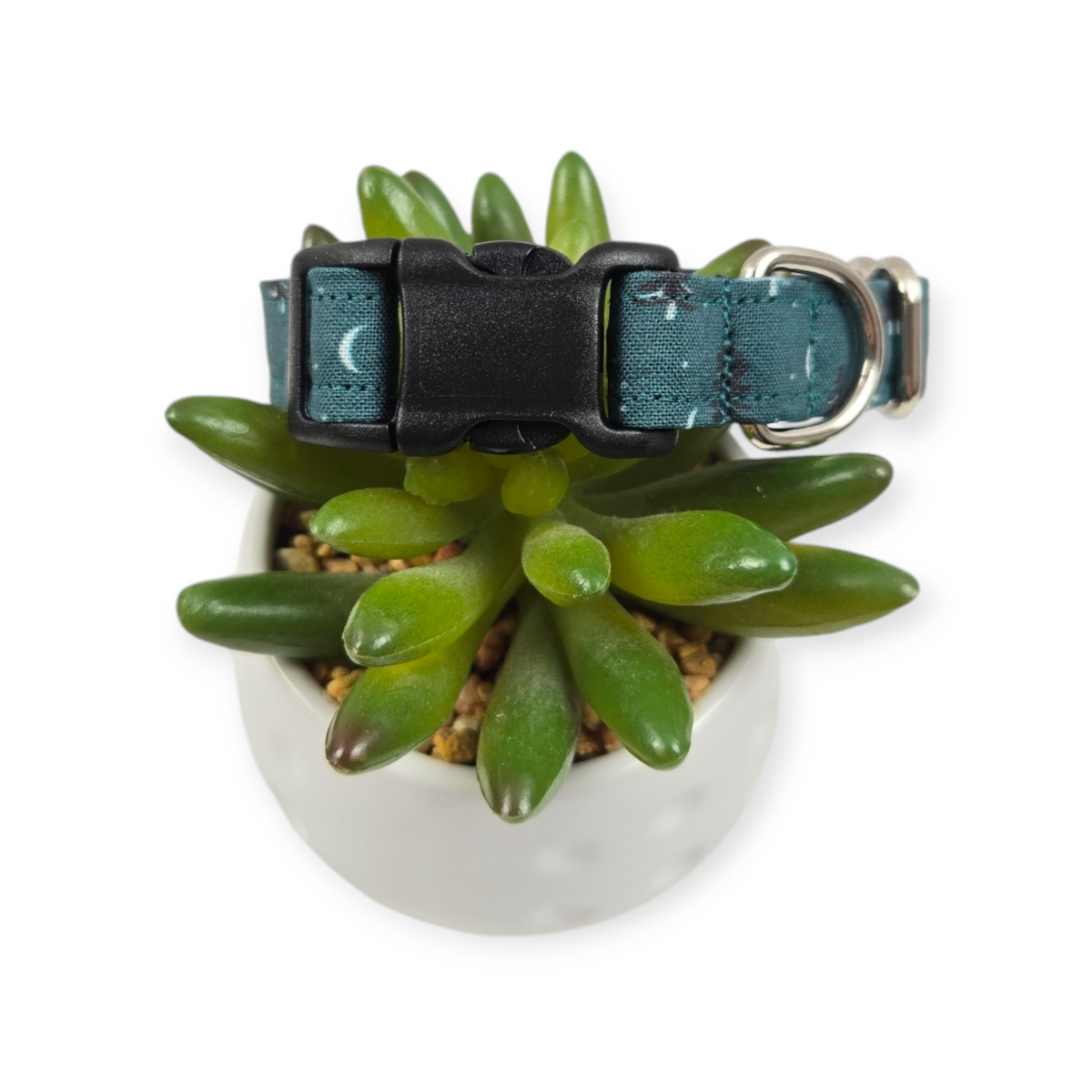 Forest Pine Trees Dog collar (Small)