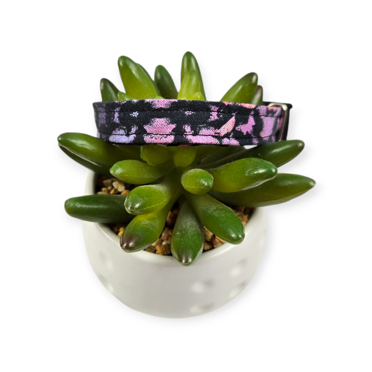 Gradient Auras Dog collar (X-Small)