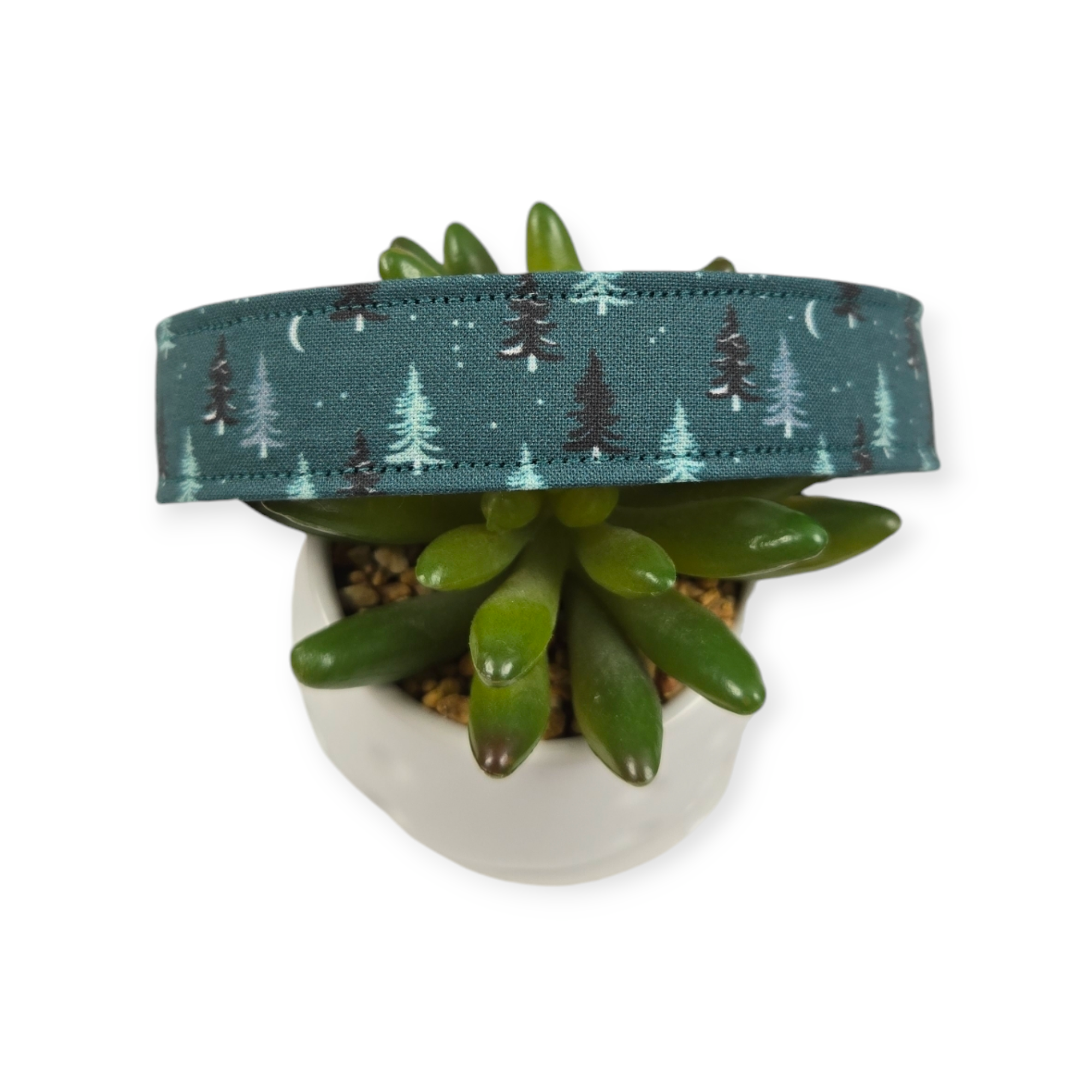 Forest Pine Trees Dog collar (Large)