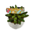 Flowertangle Mustard Dog collar (Small)