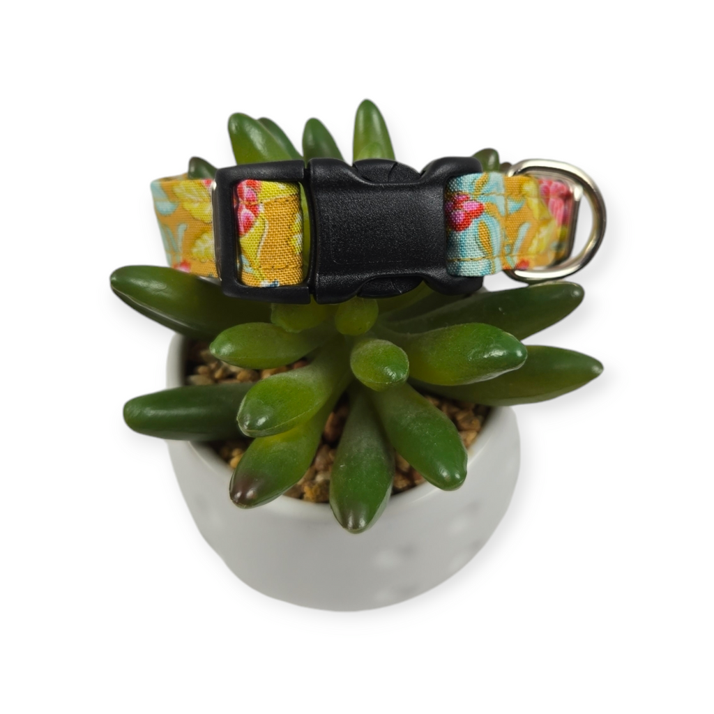 Flowertangle Mustard Dog collar (Small)