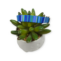 Blue Serape Dog Collar (X-Small)