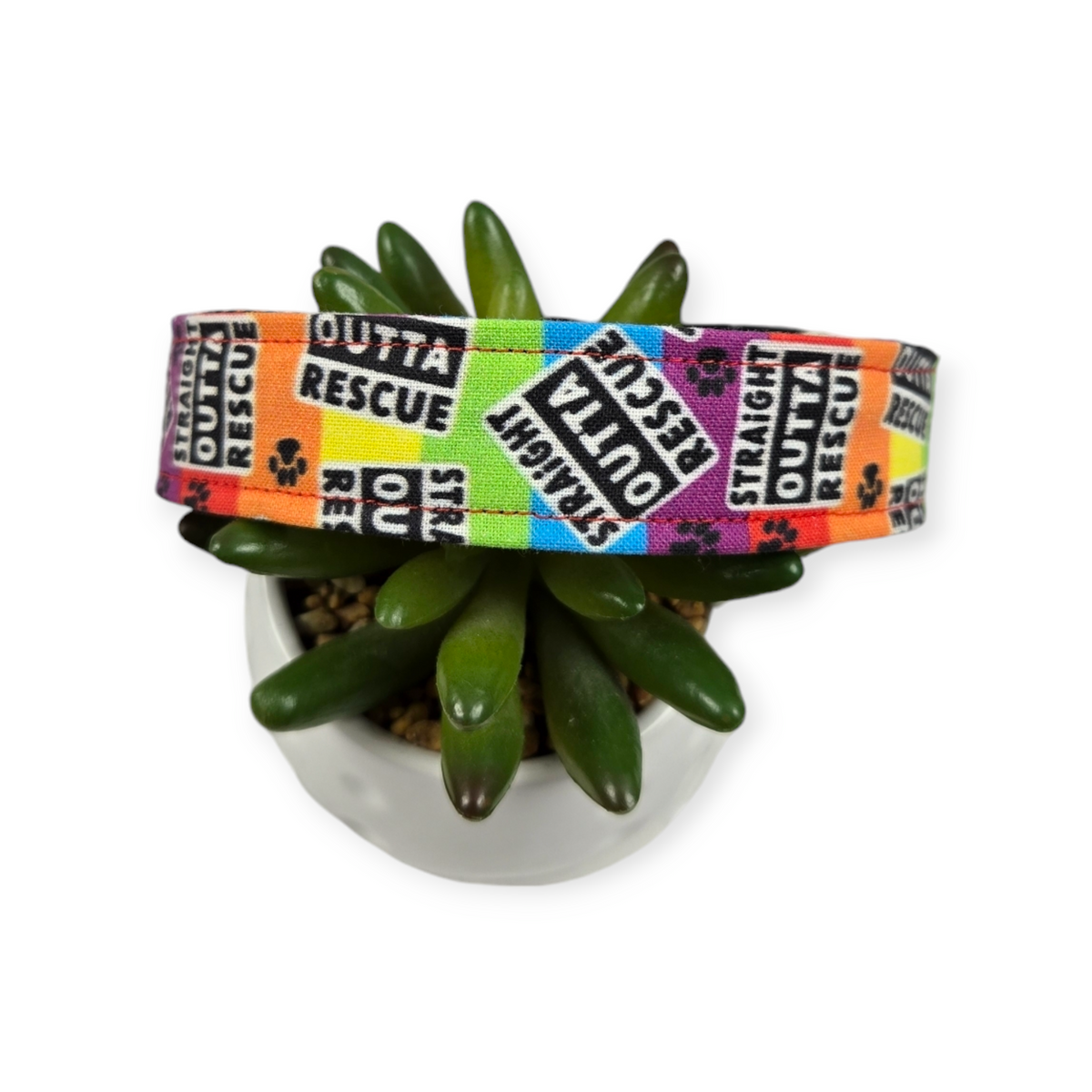Straight Outta Rescue Rainbow Dog collar (Large)