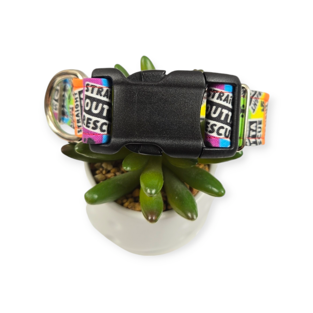 Straight Outta Rescue Rainbow Dog Collar (Medium, 1" wide)