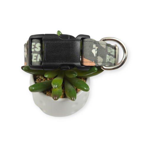 Best Friend Dog Collar (Medium, 1" wide)
