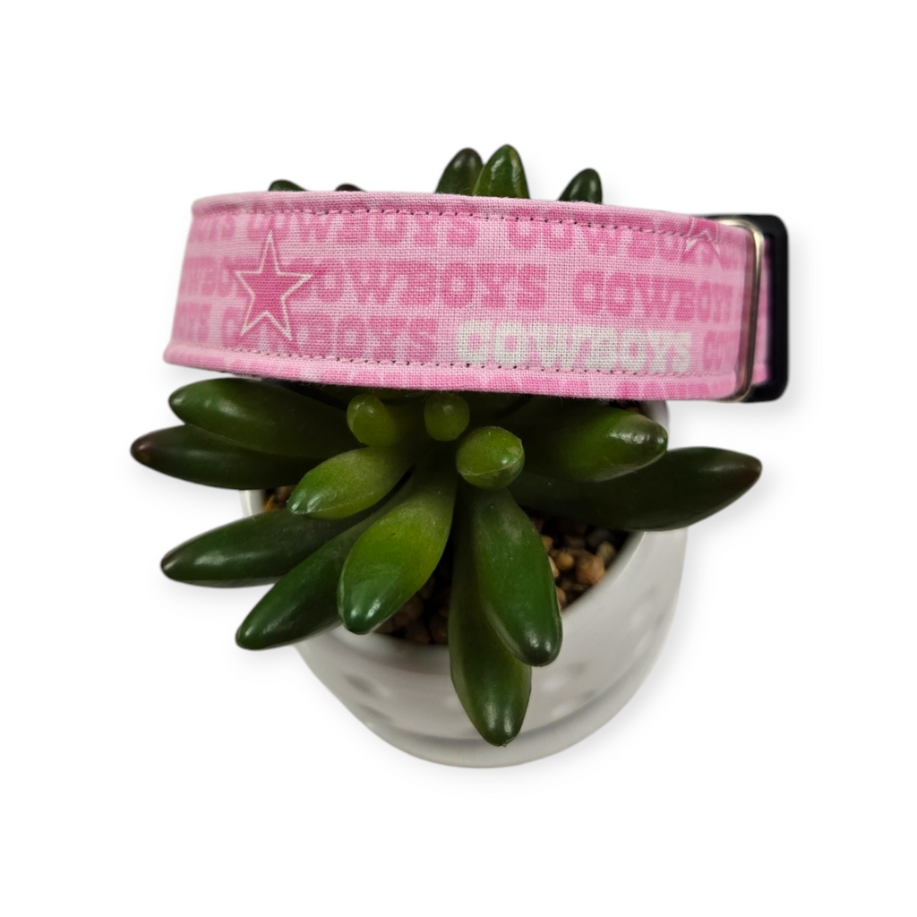 Pink Cowboys Dog collar (Medium, 1" Wide)