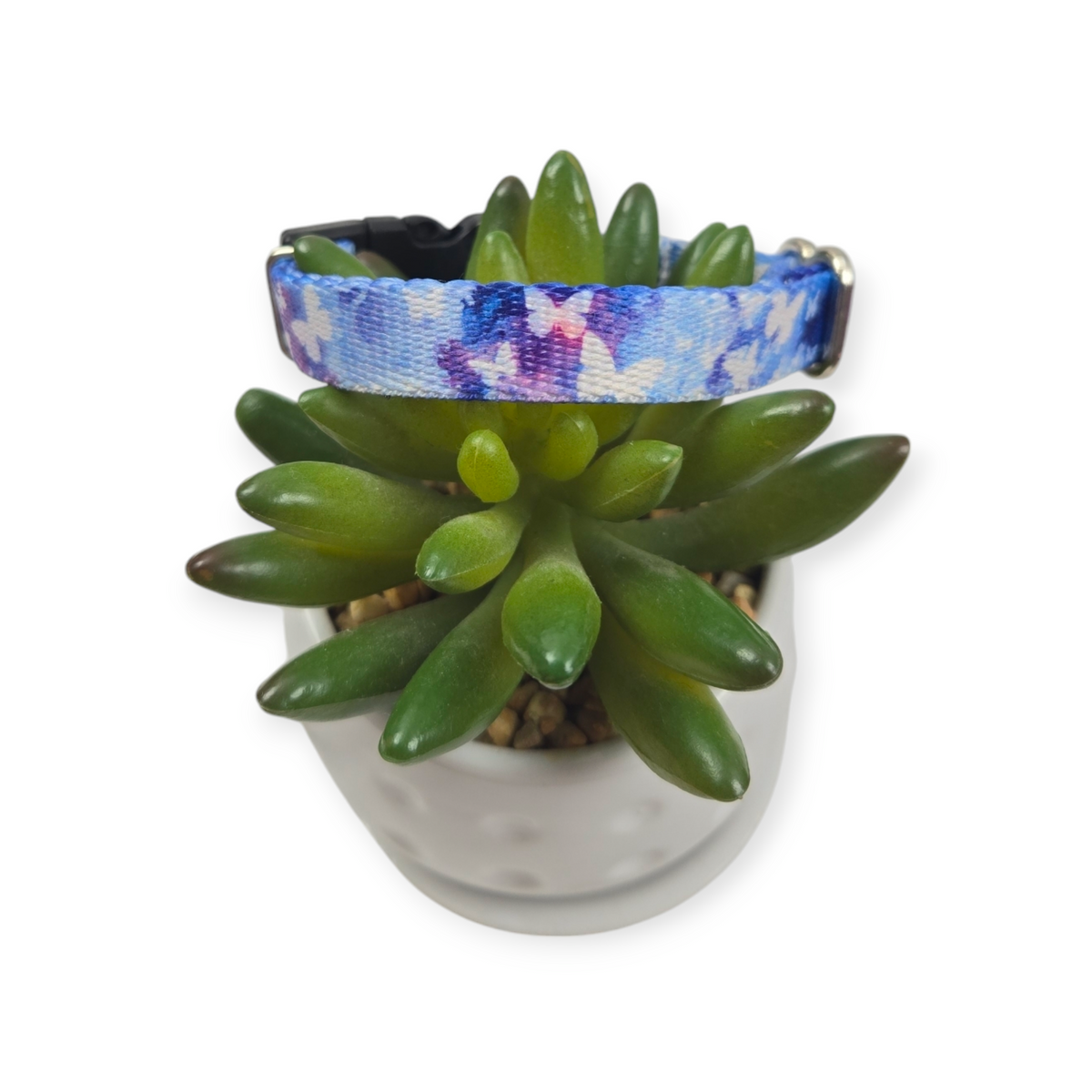 Watercolor Butterflies Dog Collar (X-Small)
