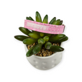 Cowboys on Pink Kitty Collar (X-Small)