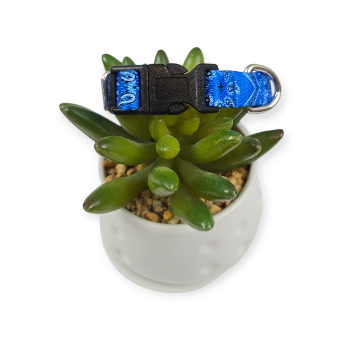 Blue Bandana Dog Collar (XX-Small)