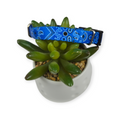 Blue Bandana Dog Collar (XX-Small)