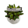 Cowboys on Gray Kitty Collar (X-Small)