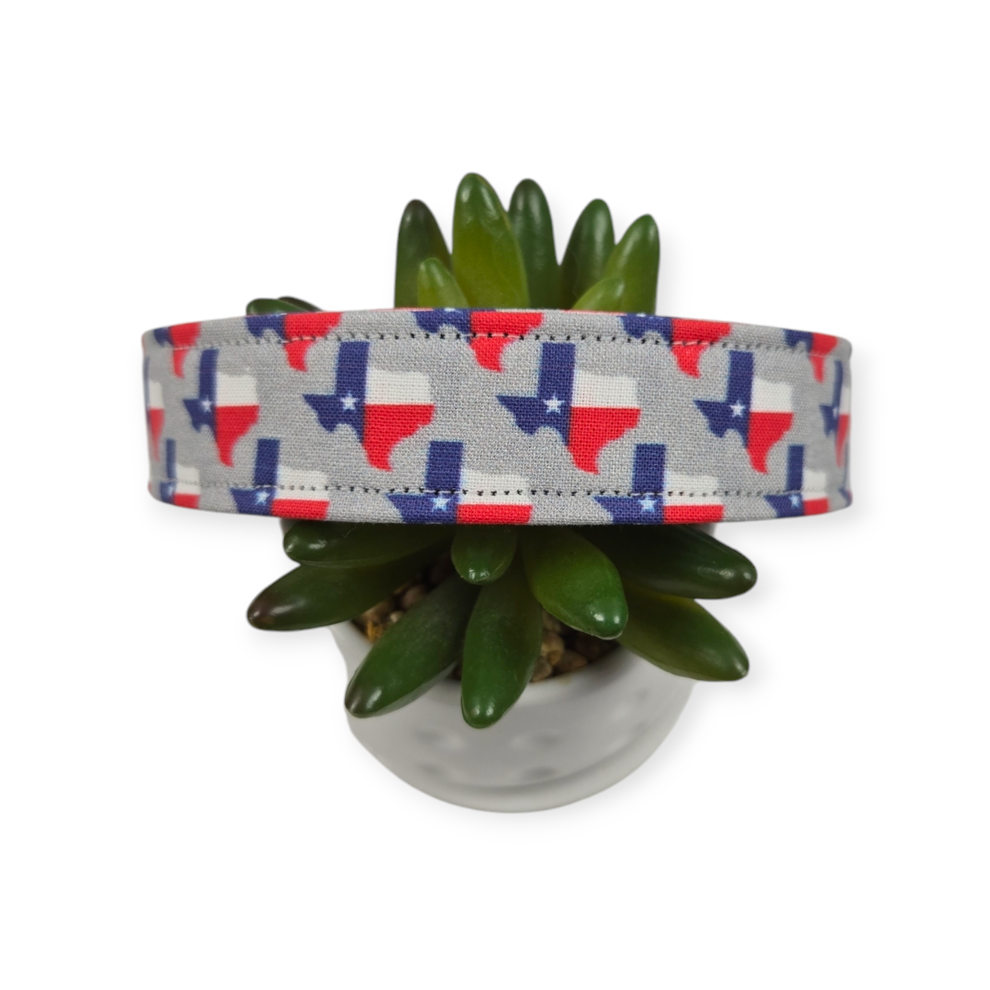 State of Texas Dog Collar (Large)