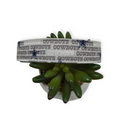 Cowboys on Gray Dog Collar (Large)