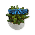 Blue Polynesian Dog Collar (Small)