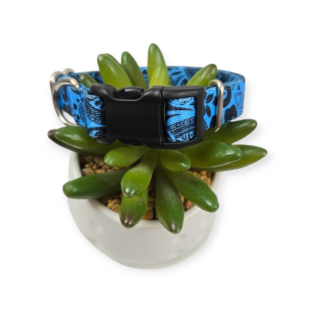 Blue Polynesian Dog Collar (Small)