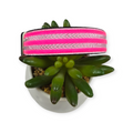 Hot Pink Velvet Dog Collar (Medium, 1" wide)