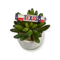 Texas Flag Kitty Collar (XX-Small)