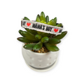 Mama's Boy Kitty Collar (XX-Small)