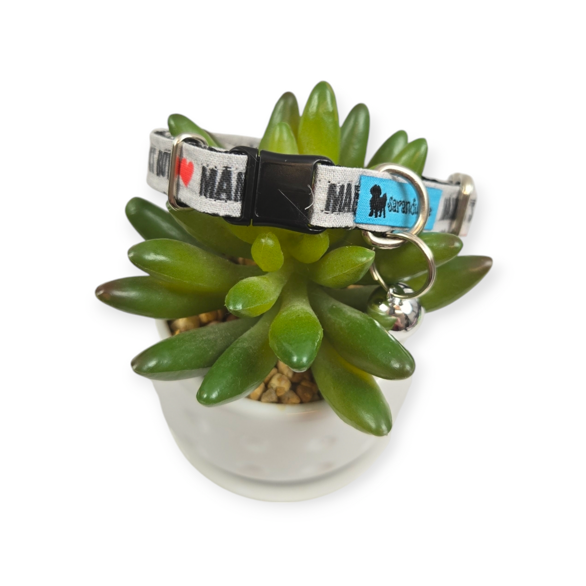 Mama's Boy Kitty Collar (XX-Small)