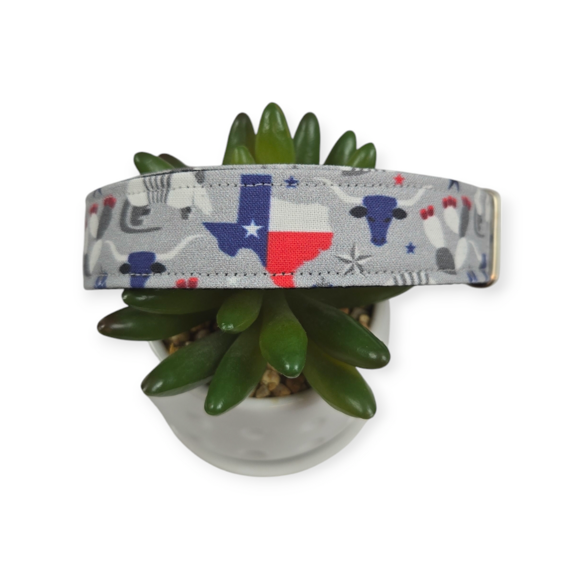 Symbols of Texas Dog Collar (Large)