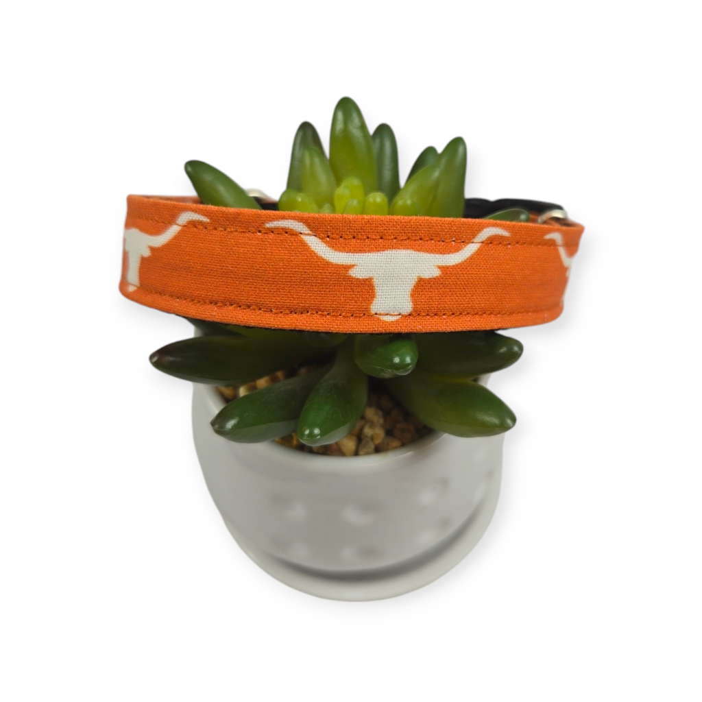 Longhorn Silhouettes Dog Collar (Medium)